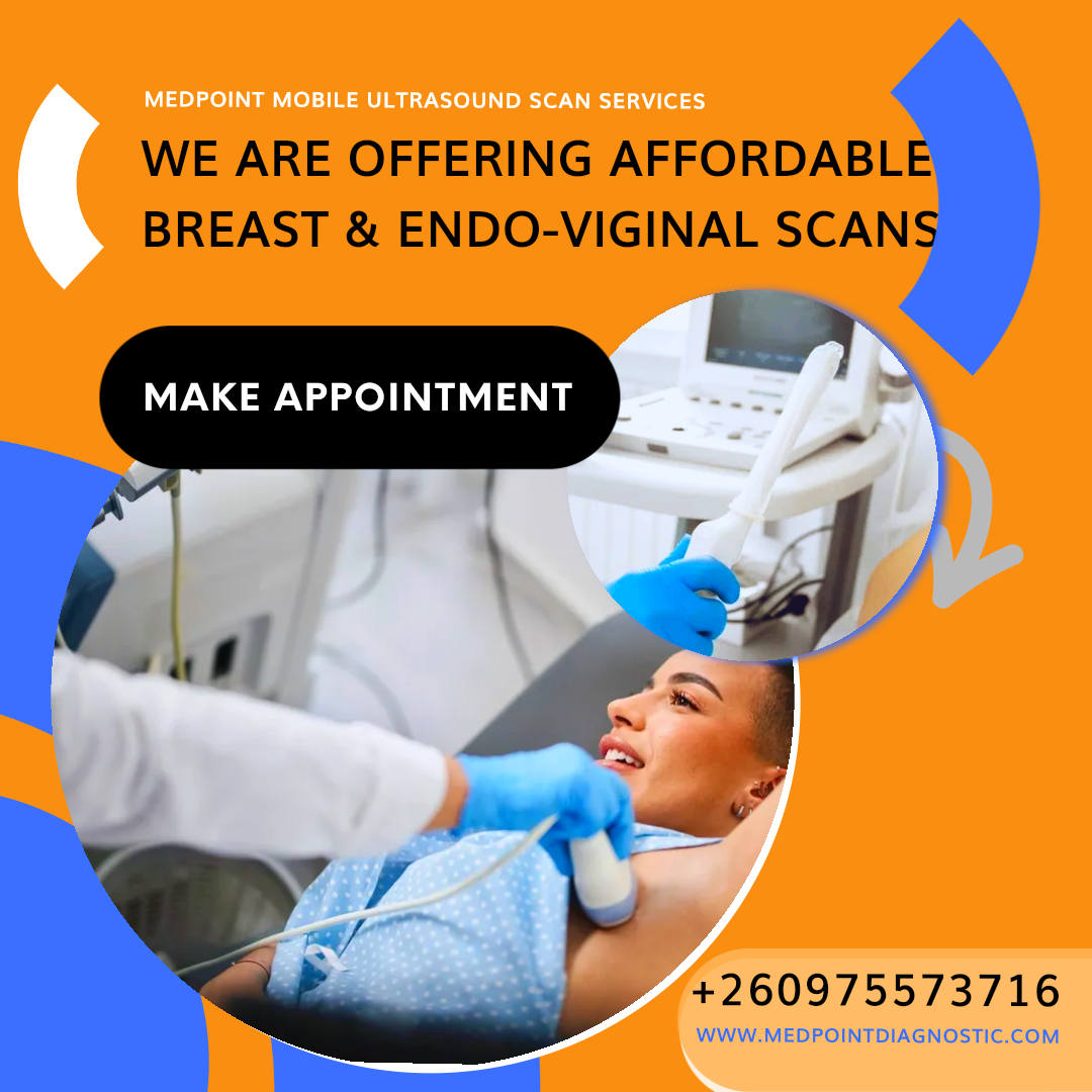 Our Services Image