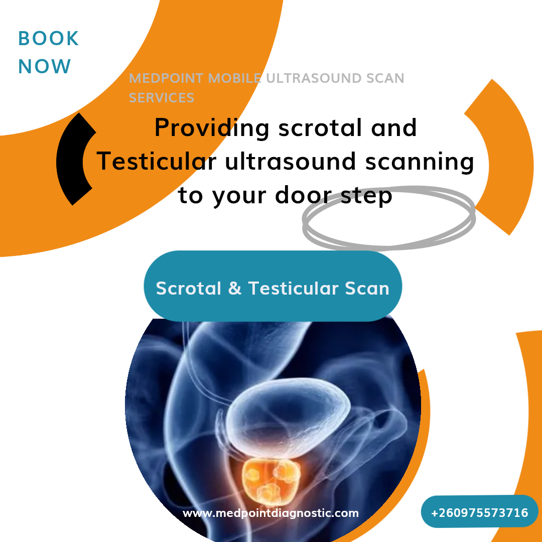 Our Services Image